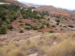    Cantera de Áridos de Sodira. Busot. Alicante