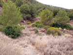   Calcita. Cantera de Áridos de Sodira. Busot. Alicante