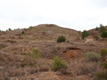  Zona los Pajaritos. Llano del Beal - La Unión - Sierra minera de Cartagena y la Unión - Murcia