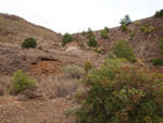 Zona los Pajaritos. Llano del Beal - La Unión - Sierra minera de Cartagena y la Unión - Murcia