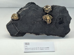 Exposición Tesoros de la Tierra. Minerales de la Comunidad Valenciana. Colección Juan Miguel Casanova Onrubia