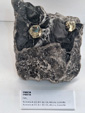 Exposición Tesoros de la Tierra. Minerales de la Comunidad Valenciana. Colección Juan Miguel Casanova Onrubia