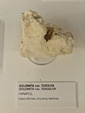 Exposición Tesoros de la Tierra. Minerales de la Comunidad Valenciana. Colección Juan Miguel Casanova Onrubia