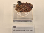 Exposición Tesoros de la Tierra. Minerales de la Comunidad Valenciana. Colección Juan Miguel Casanova Onrubia