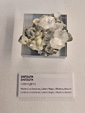 Exposición Tesoros de la Tierra. Minerales de la Comunidad Valenciana. Colección Juan Miguel Casanova Onrubia