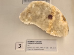 Exposición Tesoros de la Tierra. Minerales de la Comunidad Valenciana. Colección Juan Miguel Casanova Onrubia