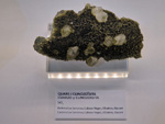 Exposición Tesoros de la Tierra. Minerales de la Comunidad Valenciana. Colección Juan Miguel Casanova Onrubia