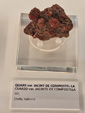 Exposición Tesoros de la Tierra. Minerales de la Comunidad Valenciana. Colección Juan Miguel Casanova Onrubia