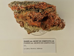 Exposición Tesoros de la Tierra. Minerales de la Comunidad Valenciana. Colección Juan Miguel Casanova Onrubia