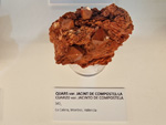 Exposición Tesoros de la Tierra. Minerales de la Comunidad Valenciana. Colección Juan Miguel Casanova Onrubia