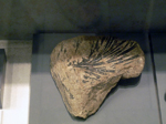 Minas de Rodalquilar. Almería