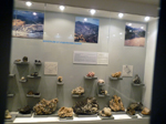 Minas de Rodalquilar. Almería