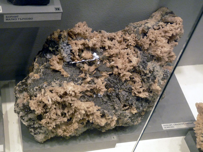 Grupo Mineralógico de Alicante. Museo de Ciencias de Burgas y Plovdiv. Bulgaria