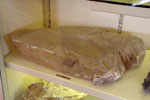 GMA. Museo di Mineralogia Luigi Bombicci  en Bolonia