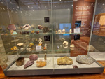 GMA. Museo Nacional de Ciencias Naturales
