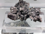 Grupo Mineralógico de Alicante. Museo de Ciencias Naturales de Álava 