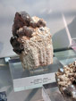 Grupo Mineralógico de Alicante.Museo de Ciencias Naturales de Álava 