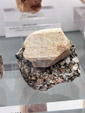 Grupo Mineralógico de Alicante.  Museo de Ciencias Naturales de Álava