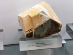 Grupo Mineralógico de Alicante.  Museo de Ciencias Naturales de Álava