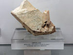 Grupo Mineralógico de Alicante.  Museo de Ciencias Naturales de Álava