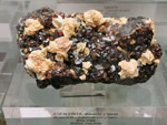 Grupo Mineralógico de Alicante. Museo de Ciencias Naturales de Álava 