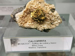 Grupo Mineralógico de Alicante. Museo de Ciencias Naturales de Álava 