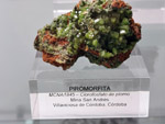 Grupo Mineralógico de Alicante. Museo de Ciencias Naturales de Álava