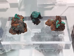 Grupo Mineralógico de Alicante. Museo de Ciencias Naturales de Álava 