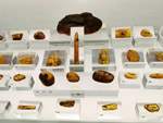 Grupo Mineralógico de Alicante. Museo de Ciencias Naturales de Álava 