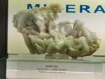 Grupo Mineralógico de Alicante. Museo de Ciencias Naturales de Álava 