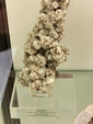 Grupo Mineralógico de Alicante.Museo de Ciencias Naturales de Álava 