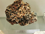 Grupo Mineralógico de Alicante.Museo de Ciencias Naturales de Álava 