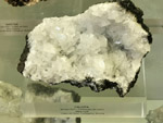 Grupo Mineralógico de Alicante. Museo de Ciencias Naturales de Álava 