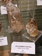 Museo de Minerales de Euskalduna