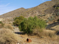 Socavón Santa Bárbara (Túnel El Arteal). Sierra Almagrera, Cuevas del Almanzora, Almería  