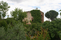 Cerro Muriano, Córdoba ciudad, Comarca de Córdoba. Córdoba