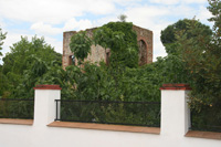 Cerro Muriano, Córdoba ciudad, Comarca de Córdoba. Córdoba