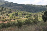 Mina Guillermín, Grupo Minero Guillermín, Alcaracejos, Comarca Los Pedroches. Córdoba