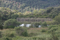 Mina Guillermín, Grupo Minero Guillermín, Alcaracejos, Comarca Los Pedroches. Córdoba