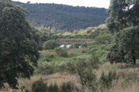 Mina Guillermín, Grupo Minero Guillermín, Alcaracejos, Comarca Los Pedroches. Córdoba