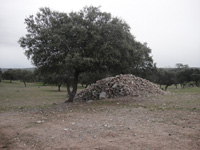 Mina San Rafael, Cardeña, Comarca Los Pedroches. Córdoba