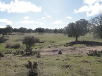 Mina San Rafael, Cardeña, Comarca Los Pedroches. Córdoba