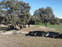 Mina San Rafael, Cardeña, Comarca Los Pedroches. Córdoba