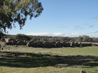 Mina San Rafael, Cardeña, Comarca Los Pedroches. Córdoba