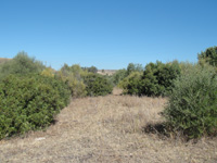 Mina Aznalcóllar y Corta Los Frailes, Aznalcóllar, Comarca Sierra Norte de Sevilla, Sevilla