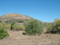 Mina Aznalcóllar y Corta Los Frailes, Aznalcóllar, Comarca Sierra Norte de Sevilla, Sevilla