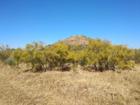 Mina Aznalcóllar y Corta Los Frailes, Aznalcóllar, Comarca Sierra Norte de Sevilla, Sevilla