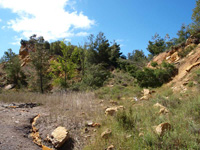 Cantera Suñer. Cañada de Verich. Teruel