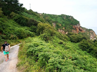 Cantera de Los Cobayos (La Paredona), zona minera de Berbes, Los Cobayos, Berbes, Ribadesella, Comarca Oriente, Asturias  