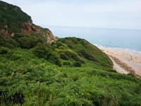 Cantera de Los Cobayos (La Paredona), zona minera de Berbes, Los Cobayos, Berbes, Ribadesella, Comarca Oriente, Asturias  